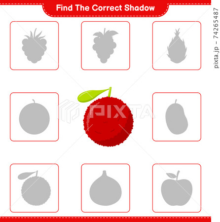Find the correct shadow. Find and match the correct shadow of Yumberry. Educational children game, printable worksheet, vector illustration 74265487