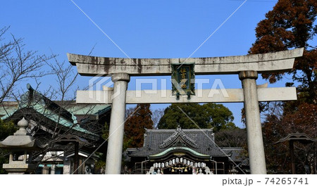 冬の住吉神社 74265741