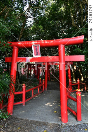 冬の住吉神社 冬の住吉神社 74265747