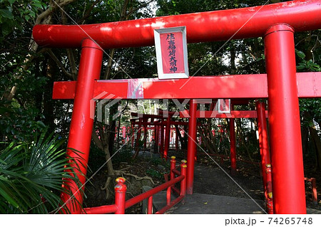 冬の住吉神社 74265748