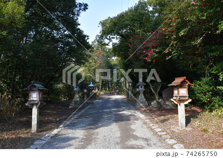 冬の住吉神社 冬の住吉神社 74265750
