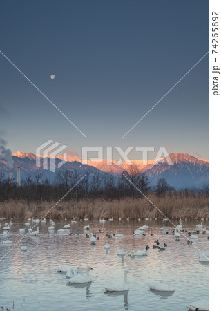 朝陽を浴びる北アルプス【御宝田遊水池】 74265892