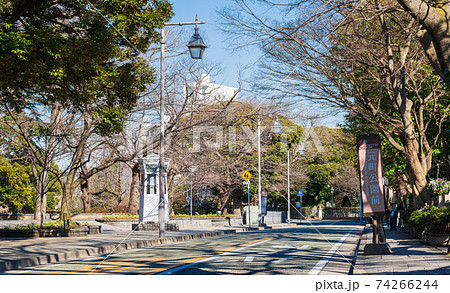 横浜 洋館が建ち並ぶ山手の町並み 横浜 洋館が建ち並ぶ山手の町並み 74266244