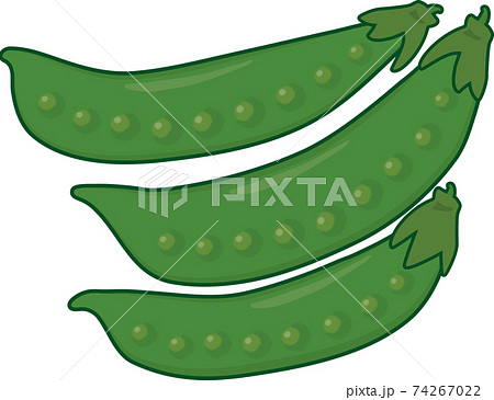 きぬさや　縁あり 74267022