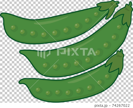 きぬさや　縁あり 74267022