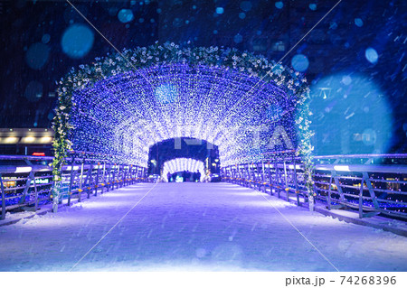 雪景色の小倉イルミネーション 雪景色の小倉イルミネーション 74268396
