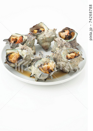 サザエの壺焼き複数個白皿盛り白背景 74268788