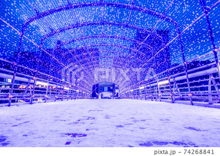 雪景色の小倉イルミネーション　 74268841