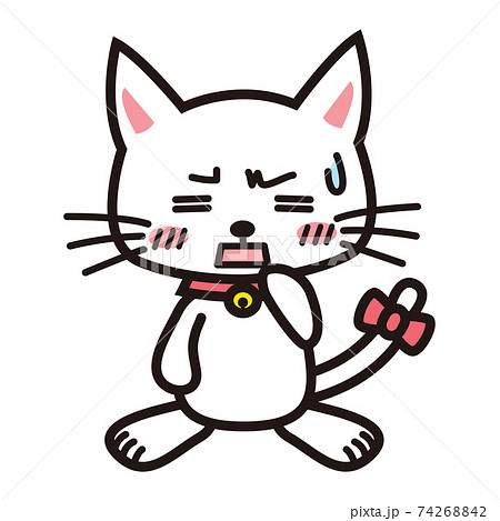 正面を向いて困惑している白猫 74268842