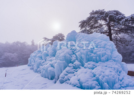 （山梨県）西湖野鳥の森公園の氷柱 74269252