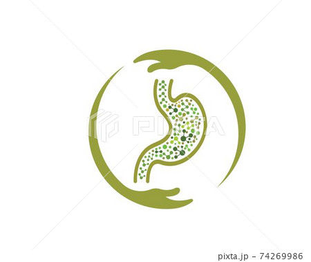 stomach icon vector illustration design 74269986