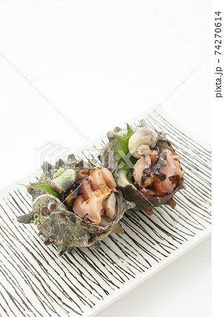 サザエの刺身2個アップ角皿盛り白背景スペース空けの写真素材 サザエの刺身2個アップ角皿盛り白背景スペース空けの写真素材