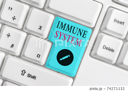 Text sign showing Immune System. Conceptual photo Text sign showing Immune System. Conceptual photo 74271132