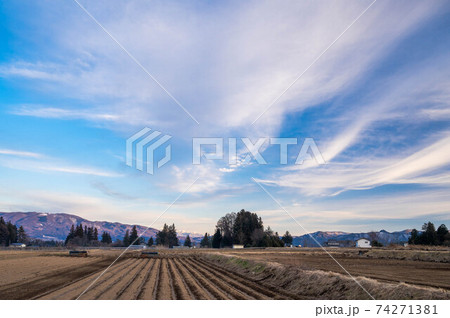農村の夕方　山形村 74271381