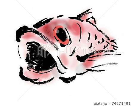 口を開けたのどぐろの和風手描きイラスト 口を開けたのどぐろの和風手描きイラスト 74271491