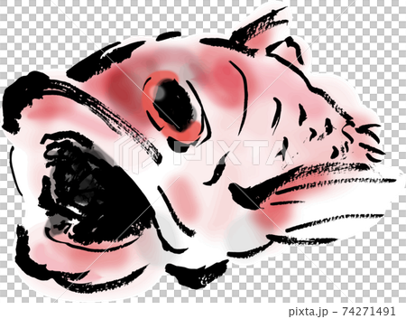 口を開けたのどぐろの和風手描きイラスト 口を開けたのどぐろの和風手描きイラスト 74271491