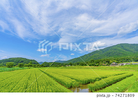 京都　亀岡　田園風景　 74271809