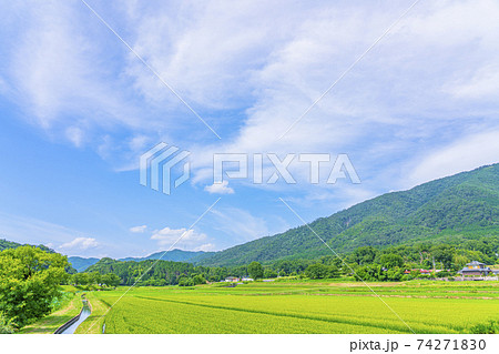 京都　亀岡　田園風景　 74271830