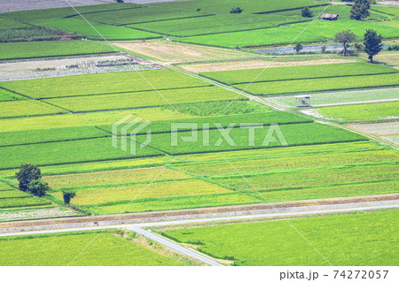 京都　亀岡　田園風景　　 74272057