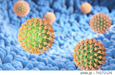 Rotavirus bacteria on the microvilli surface of digestive system 74272126
