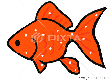 Illustration Of A Goldfish With White Spot Disease Stock Illustration
