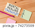Text sign showing Mental Healing Therapist 74273509