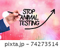 Conceptual hand writing showing Stop Animal 74273514
