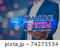 Handwriting text Immune System. Concept meaning a 74273534