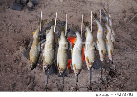 鮎 やまめ 塩焼き 串焼き 炭火焼 川魚の写真素材