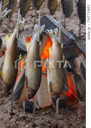 鮎　やまめ　塩焼き　串焼き　炭火焼　川魚 74273801