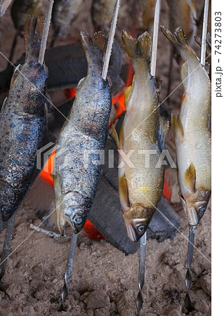 鮎 やまめ 塩焼き 串焼き 炭火焼 川魚の写真素材