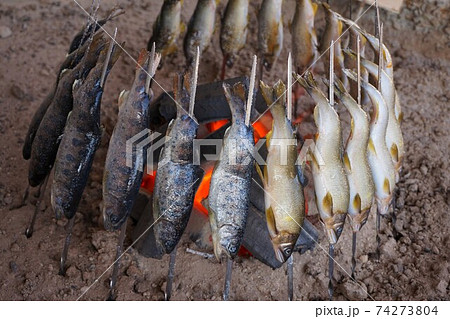 鮎 やまめ 塩焼き 串焼き 炭火焼 川魚の写真素材