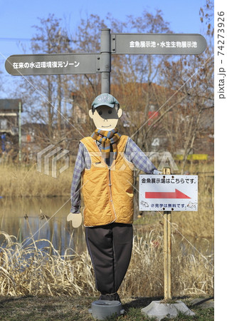 東京都立水元公園 金魚展示場の案内 東京都立水元公園 金魚展示場の案内 74273926