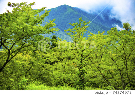 鳥取大山周辺の山の景色 74274975