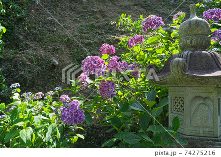 岡山県 大瀧山西法院の風景 6月の晴れの日の写真素材