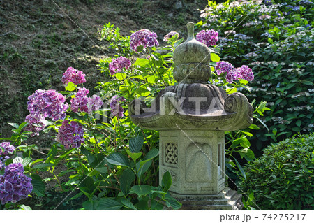 《岡山県》大瀧山西法院の風景、6月の晴れの日 74275217