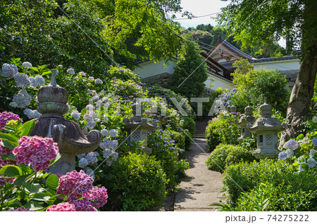 《岡山県》大瀧山西法院の風景、6月の晴れの日 《岡山県》大瀧山西法院の風景、6月の晴れの日 74275222