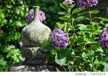 《岡山県》大瀧山西法院の風景、6月の晴れの日 《岡山県》大瀧山西法院の風景、6月の晴れの日 74275224