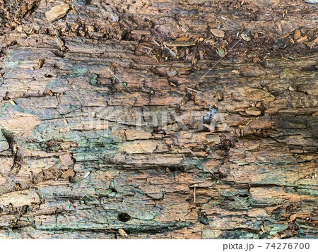 Background, texture of an old rotting, damaged wooden surface Background, texture of an old rotting, damaged wooden surface 74276700