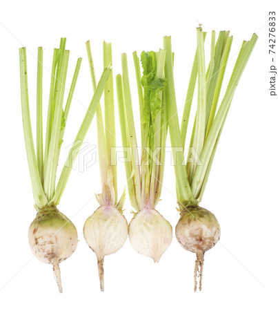 Fresh sugar white beet with stems, isolated on white background 74276833