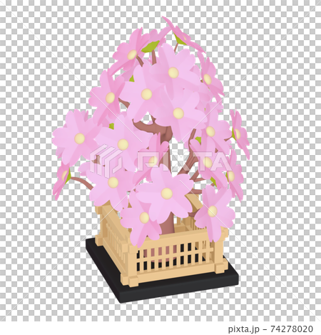 ひな祭りのイラスト アイテム ひな飾り 桜橘 桜（1_9）のイラスト素材
