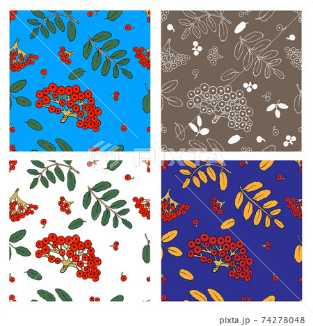 Ash berry Seamless Pattern Set 74278048