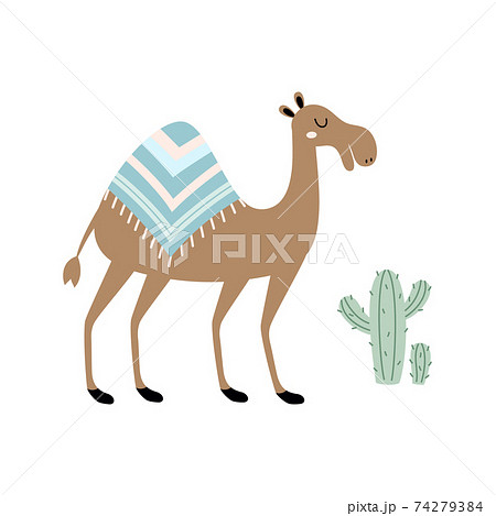 cute camel isolated on white, vector illustration cute camel isolated on white, vector illustration 74279384