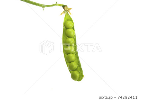 green peas isolated 74282411
