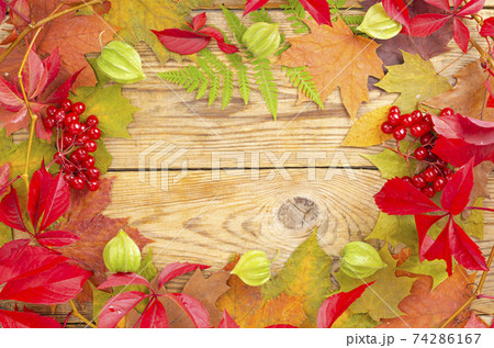 Collage, frame from autumn bright leaves and berries on wooden background. Studio Photo 74286167