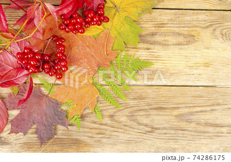 Collage, frame from autumn bright leaves and berries on wooden background. Studio Photo 74286175