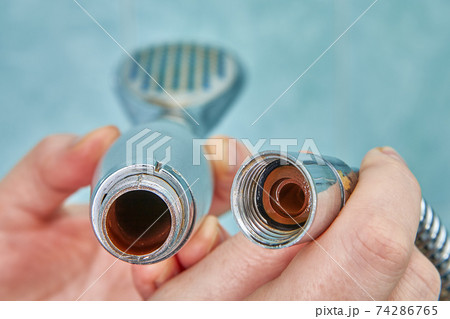 Rust inside old shower head and on hose. 74286765