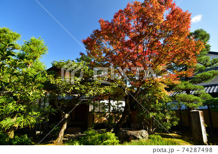 京都嵐山天龍寺祥雲閣(茶室)の紅葉 京都嵐山天龍寺祥雲閣(茶室)の紅葉 74287498