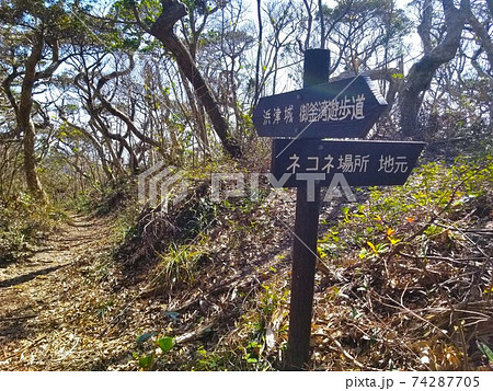 伊豆七島の式根島にある珍スポット ネコネ場所 への案内板の写真素材