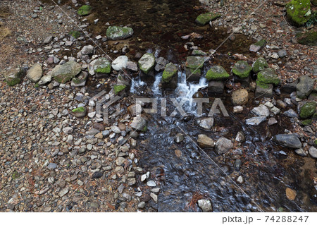 山中を流れる二俣川の静かな水面 74288247